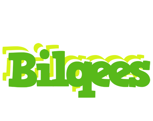 Bilqees picnic logo