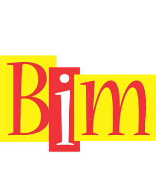 Bim errors logo