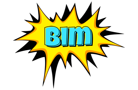 Bim indycar logo