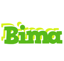 Bima picnic logo