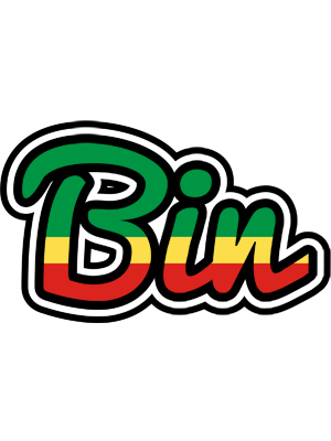 Bin african logo