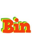 Bin bbq logo