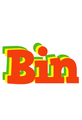 Bin bbq logo