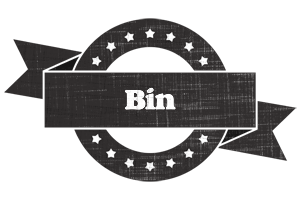 Bin grunge logo