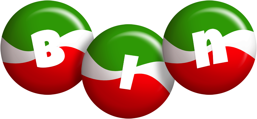 Bin italy logo