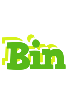 Bin picnic logo