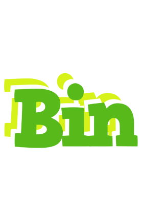Bin picnic logo