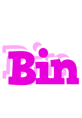 Bin rumba logo