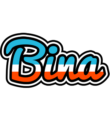 Bina america logo