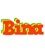 Bina bbq logo