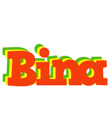 Bina bbq logo