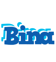 Bina business logo