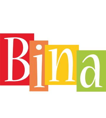 Bina colors logo