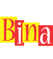 Bina errors logo