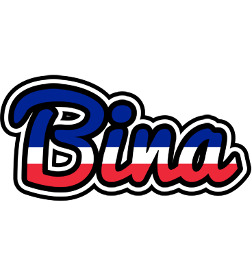 Bina france logo