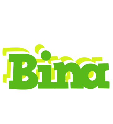 Bina picnic logo