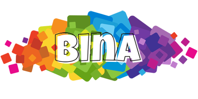 Bina pixels logo