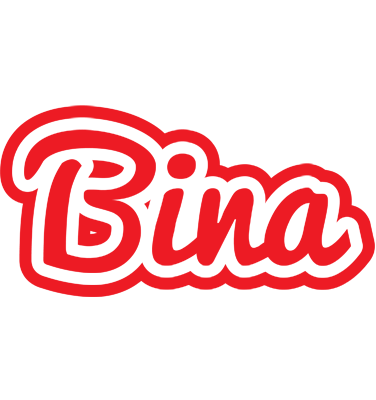 Bina sunshine logo