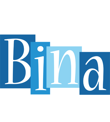 Bina winter logo
