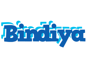 Bindiya business logo