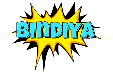 Bindiya indycar logo