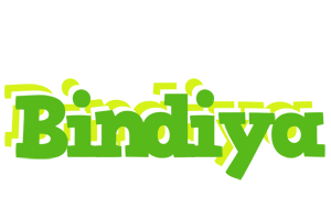 Bindiya picnic logo