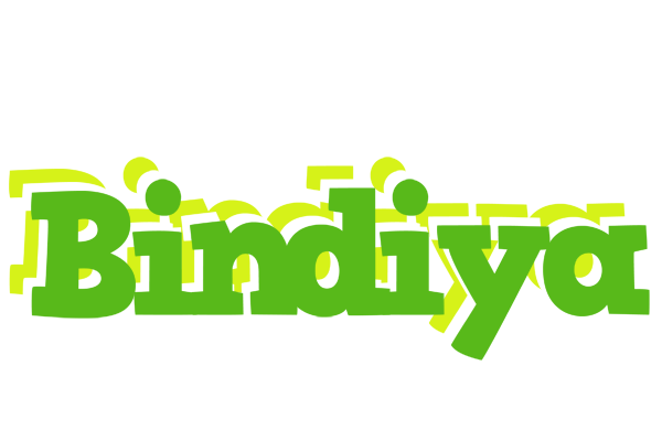 Bindiya picnic logo