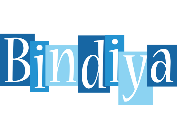 Bindiya winter logo