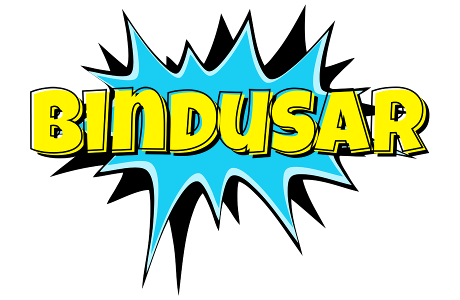 Bindusar amazing logo