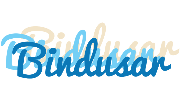 Bindusar breeze logo