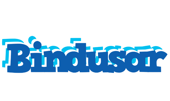 Bindusar business logo