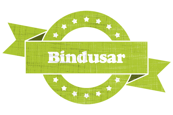 Bindusar change logo