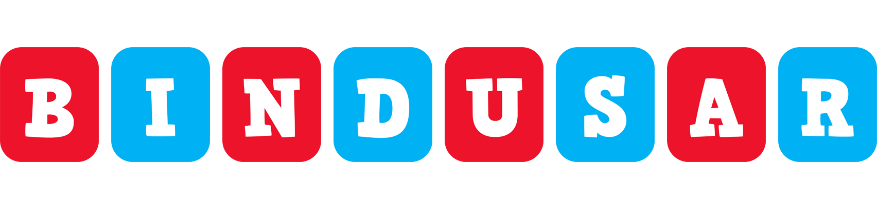 Bindusar diesel logo