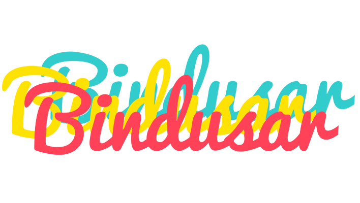 Bindusar disco logo