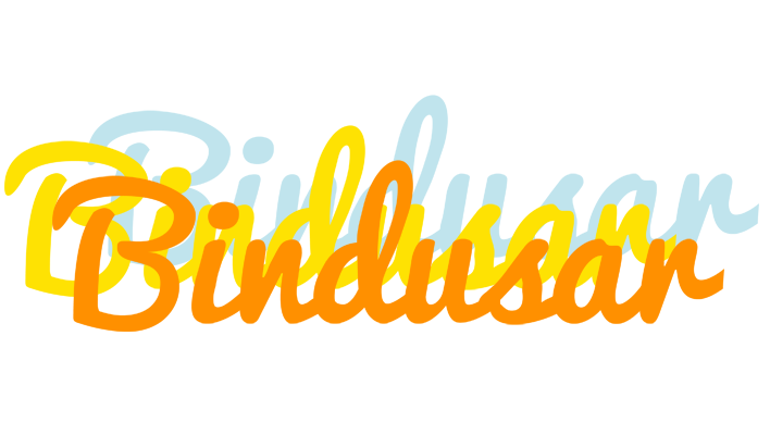 Bindusar energy logo