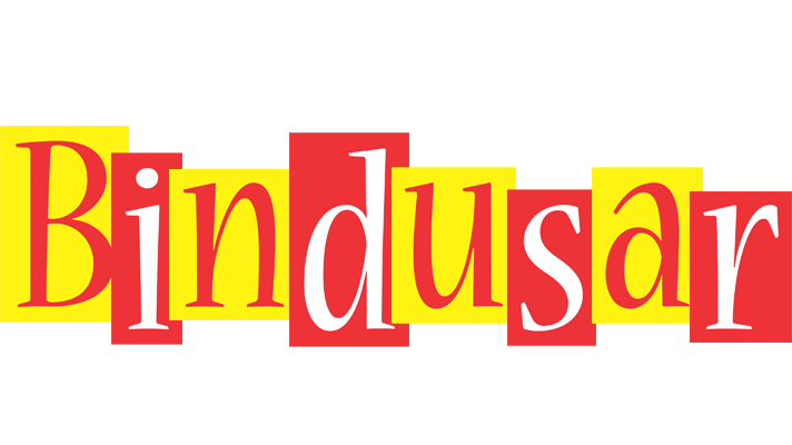 Bindusar errors logo