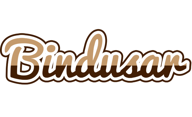 Bindusar exclusive logo