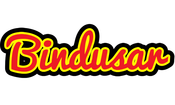 Bindusar fireman logo