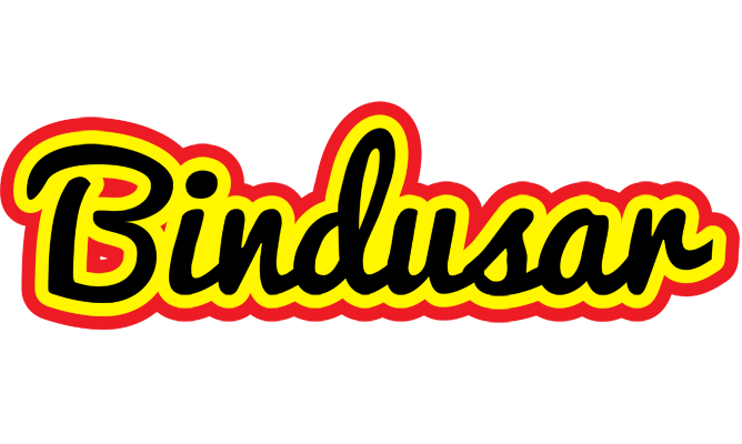 Bindusar flaming logo