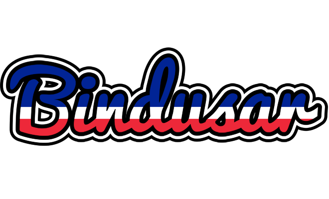 Bindusar france logo