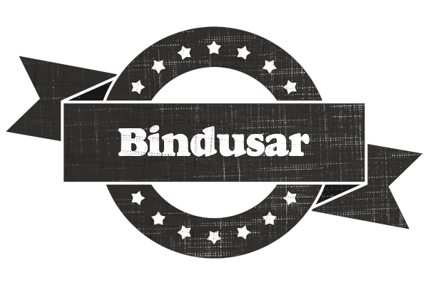 Bindusar grunge logo
