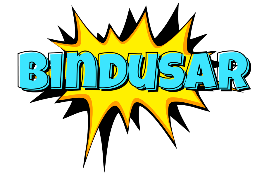 Bindusar indycar logo