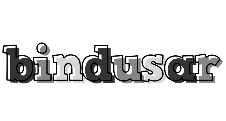 Bindusar night logo