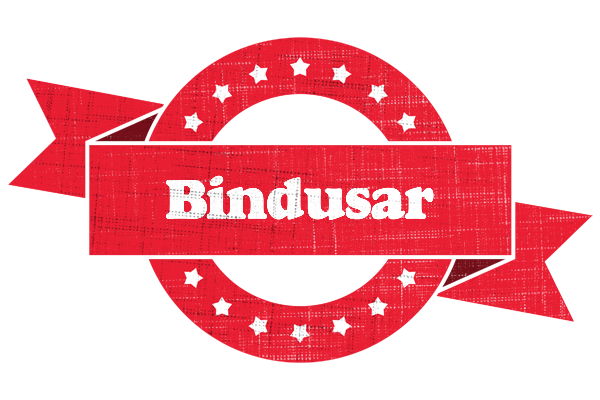 Bindusar passion logo
