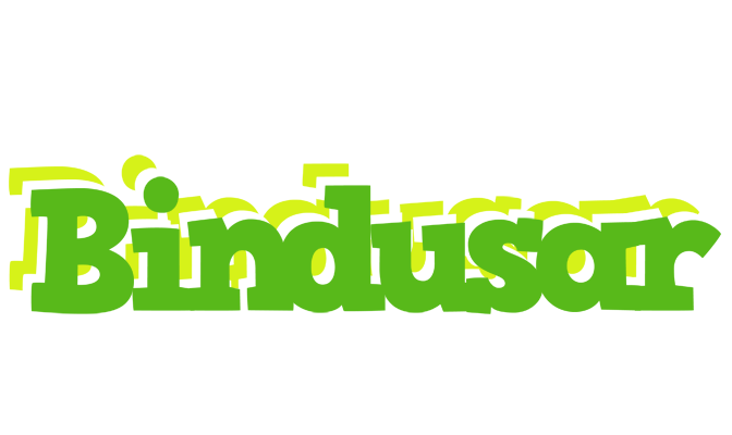 Bindusar picnic logo