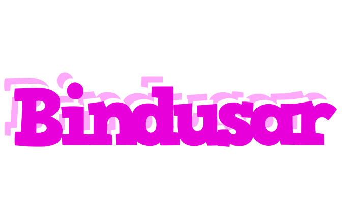 Bindusar rumba logo