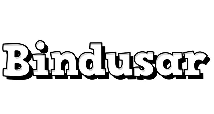 Bindusar snowing logo