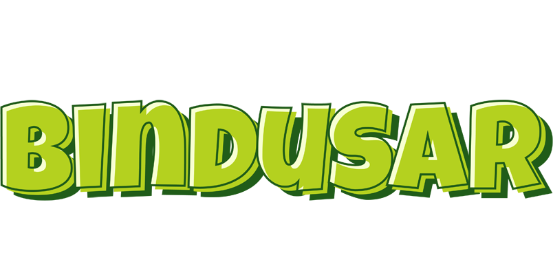 Bindusar summer logo