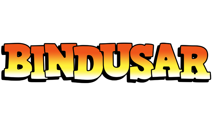 Bindusar sunset logo