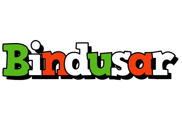 Bindusar venezia logo